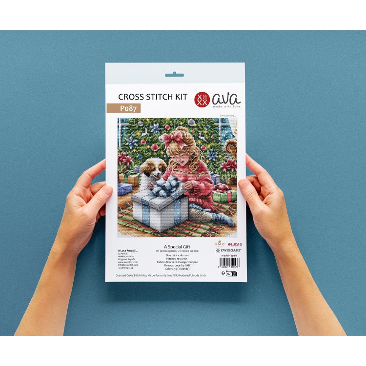 AVA Stitch - A Special Gift P087