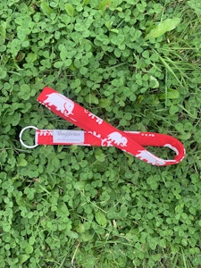 NYCKELBAND ELEFANT, 22 cm