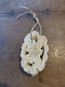 Loofa - shower sponge
