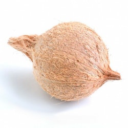 Fresh Coconut with Husk 1 Piece (Approx 250- 400g)