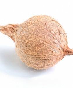 Fresh Coconut with Husk 1 Piece (Approx 250- 400g)