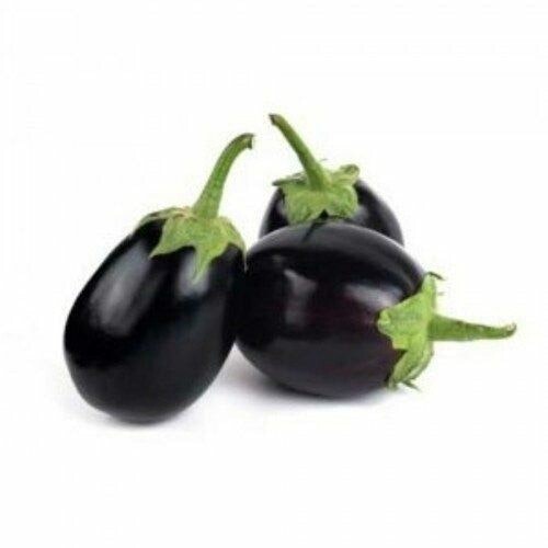 Fresh Indian Eggplant (Brinjal) 500g
