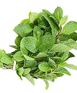 Fresh Fresh Mint Leaves - 1 bunch