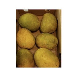 Fresh Kesar Indian Mango (1 Box) 10 - 12 pcs (Variant 2)