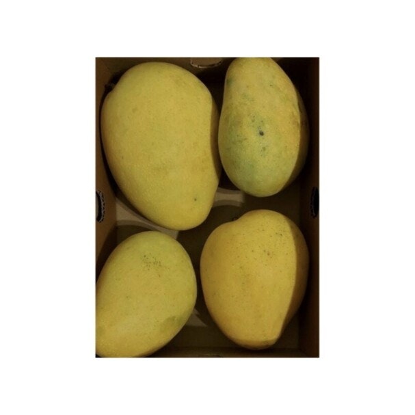 Fresh Badami Indian Mango 1 piece (Variant 2)