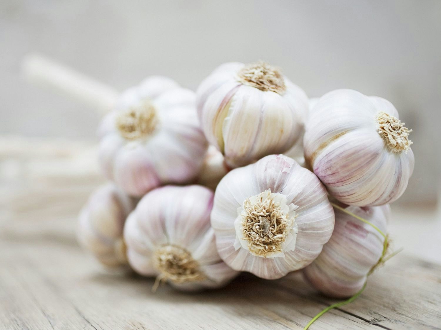 Fresh Garlic 500g