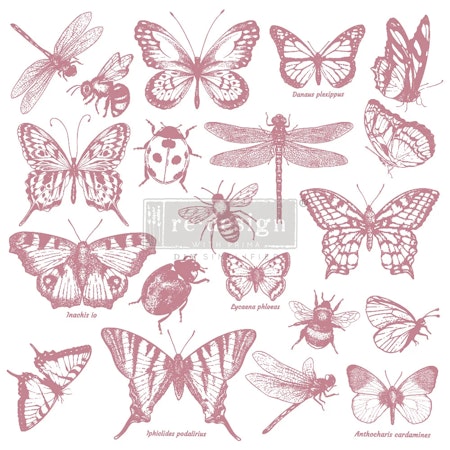 Decor Stamp - Monarch Collection