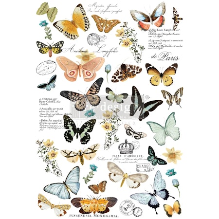 Transfer/Gnuggis Butterfly Dance