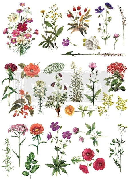 Transfer/Gnuggis Floral Collection