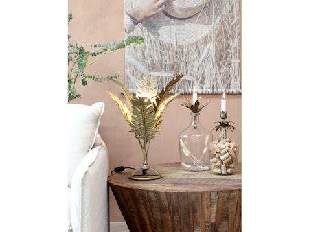 Lampa leaves