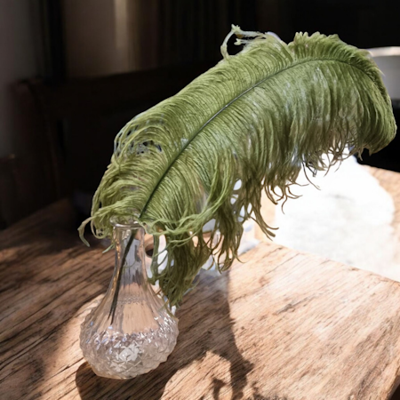 Strutsjäder Grön