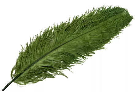 Strutsjäder Grön