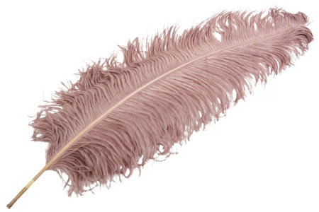 Strutsfjäder Rosa