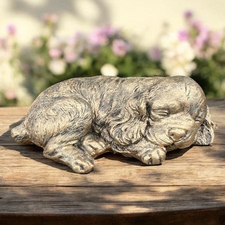 Betongfigur - Spaniel hund guld