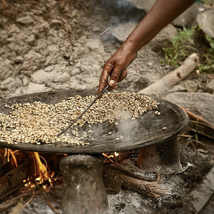 ZOÉGAS Experience Äthiopien Kaffeebohnen 750g