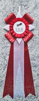 Anmälningsavgift