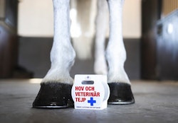 Hov och Veterinärtejp
