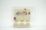 Aromavax Syren