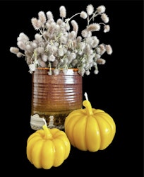 Bivaxljus Pumpkin 2 i pack