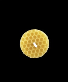 Bivaxljus Bee Cells