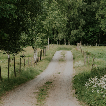 Poster Country Road - 50x70 cm