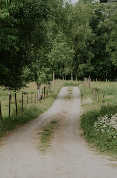 Poster Country Road - 30x40 cm