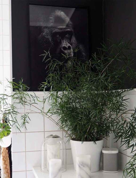 Fotokonst Tänkande gorilla.