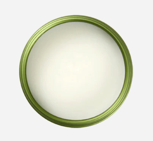 SKINFOOD Avocado & Olive Lip Balm