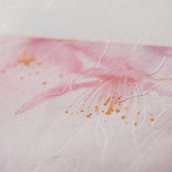 Awagami Unryu Thin 55 g