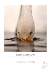 Hahnemühle Photo Luster 290g