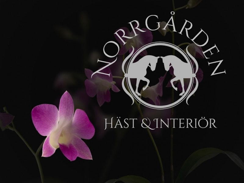 Norrgården Häst & Interiör