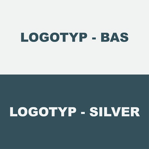 Logotyp Paket - Bas och Silver