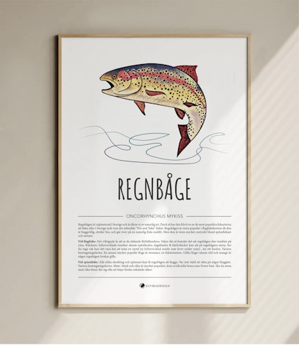 Retro Fisk Poster