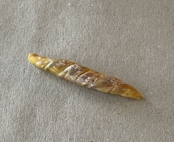 Bröd