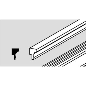 Ramlist