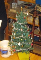 Julgran ca 13-17 cm