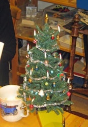 Julgran ca 13-17 cm