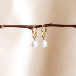 Treasure Pearl Hoops Gold Syster P