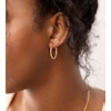 Beloved Medium Hoops Gold Syster P