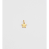 Beloved Pendant Gold Star Syster P