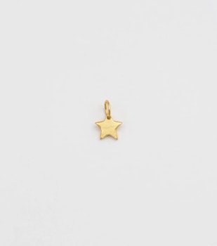 Beloved Pendant Gold Star Syster P