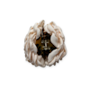 Tangocras Hairclip Big Beige Cras