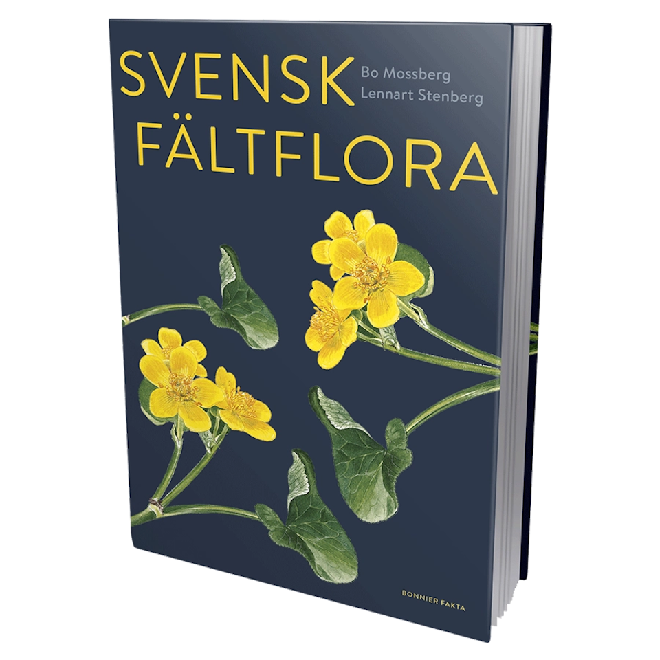 Svensk fältflora