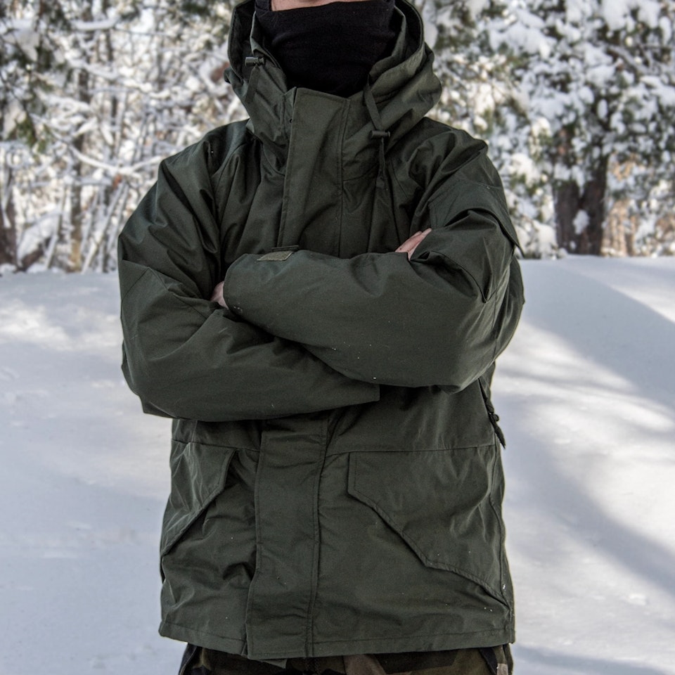 Skaljacka (amfibiegrön)