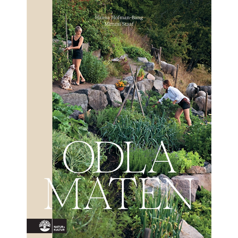 Odla maten