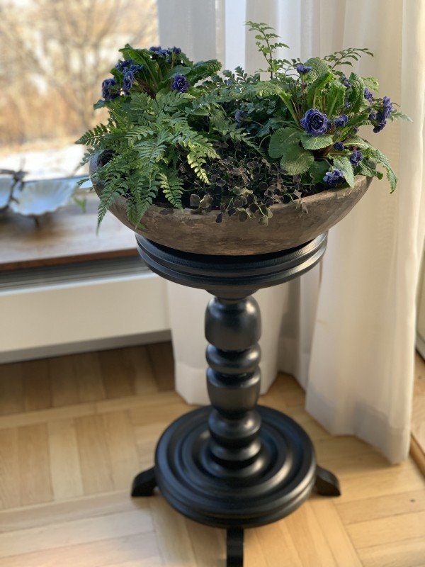 Vill du ha växter men saknar plats eller fönsterbräda