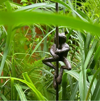 Regnmätare groda på pinne, Eldgarden