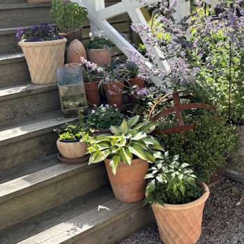 Kruka natur med fin patina, fler storlekar BGreen