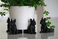 Kruktass bulldog i brunsvart poly, Alot
