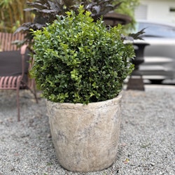 Kruka i gråbeige cement, två storlekar, Olsson Jensen